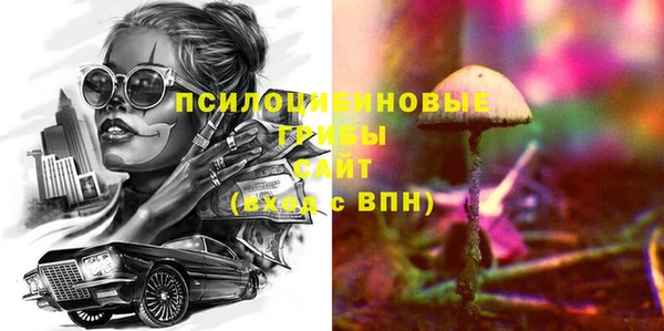 твердый Киреевск