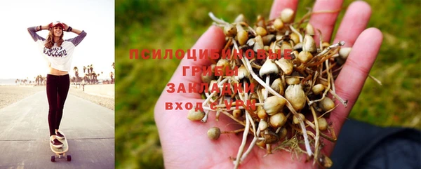 твердый Киреевск