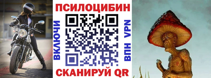 Купить  Вичуга  Псилоцибиновые грибы Psilocybine cubensis 
