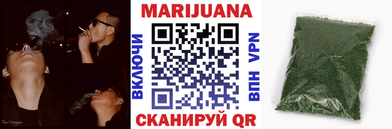 Каннабис планчик Вичуга